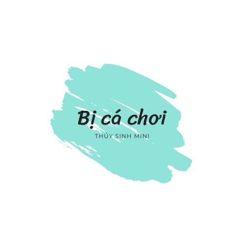 Mô hình tiểu cảnh thủy sinh