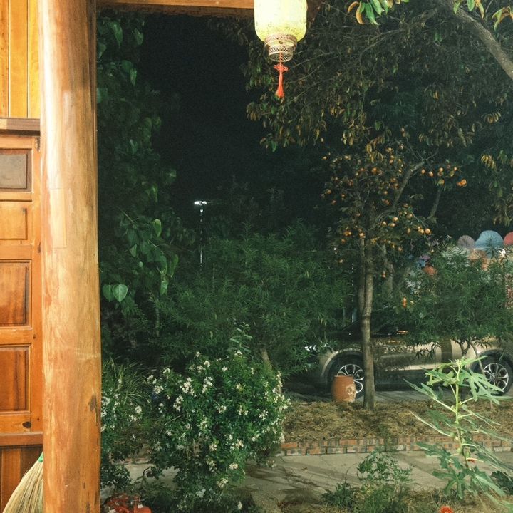 thằn lằn