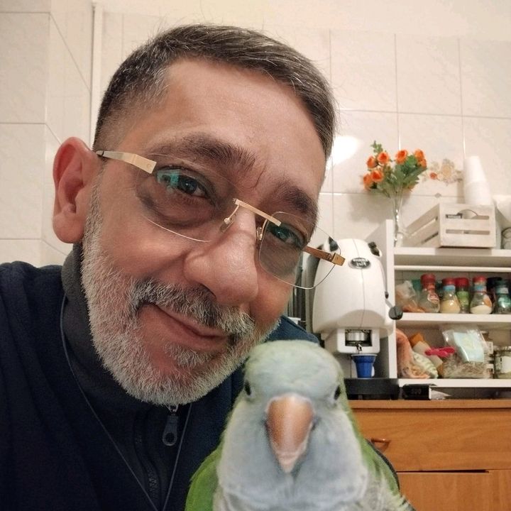 catanesedoc