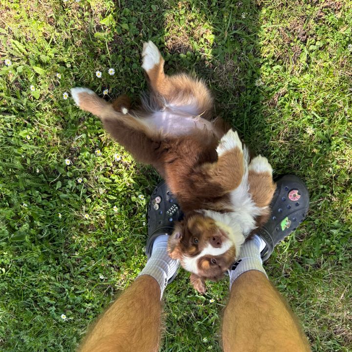 Aïko la fusée🚀