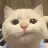 NamiEditz66