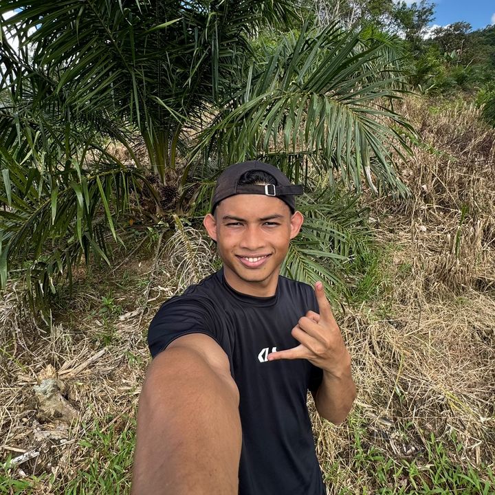 korotman review barang