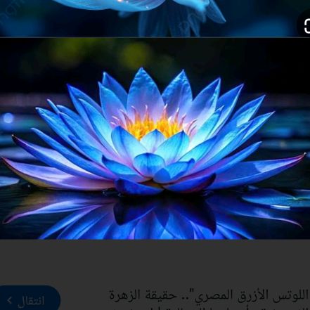 lotuss🪷