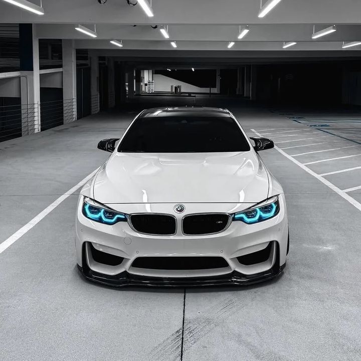 alberto_ja_carsfl