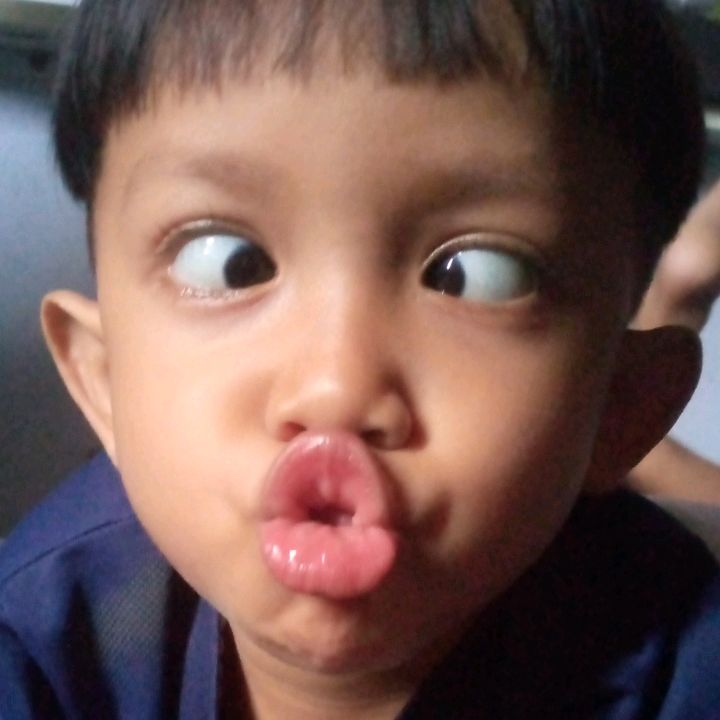 Daudolshopp