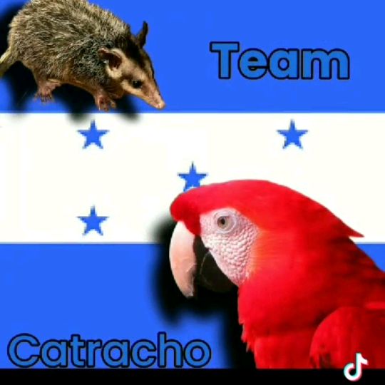 Catrachita+504.🇭🇳.💍🛼
