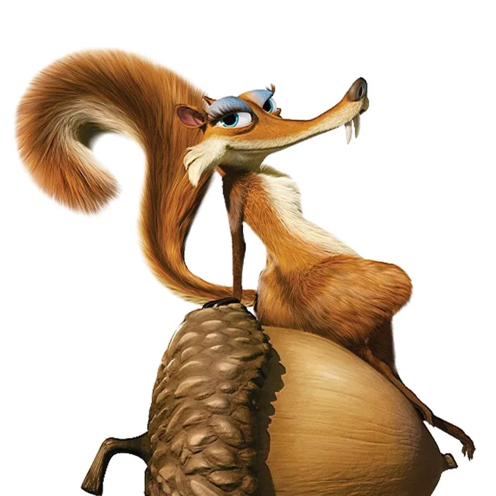 squirrel