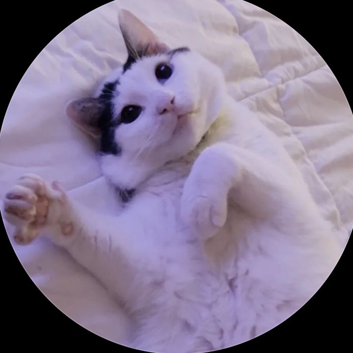 qwe