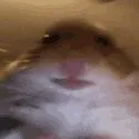 BestdealsonTT