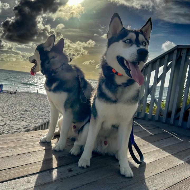 Luka & Sosa