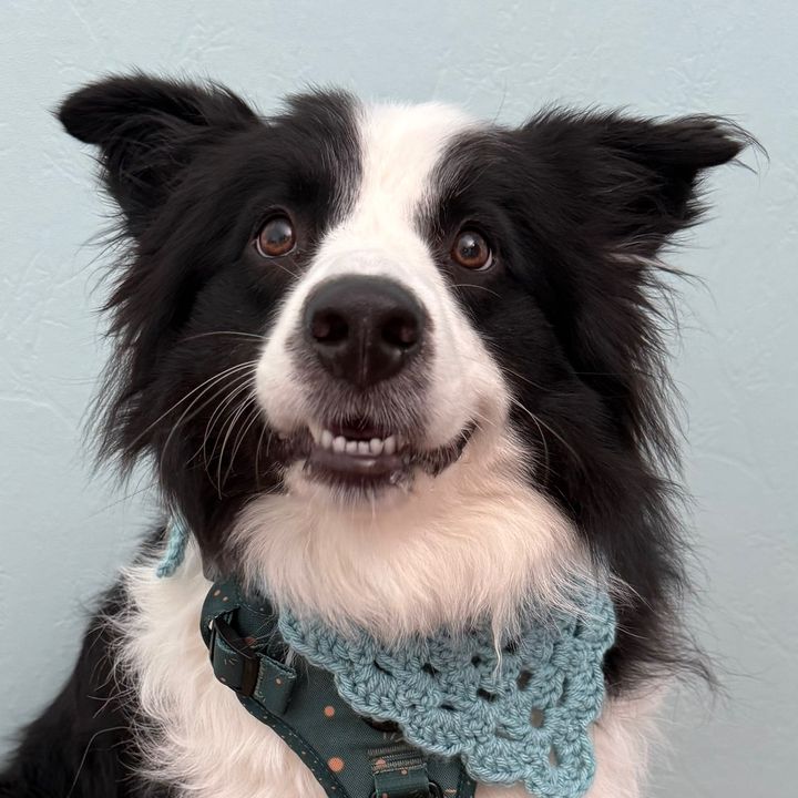 Smiley Oakley