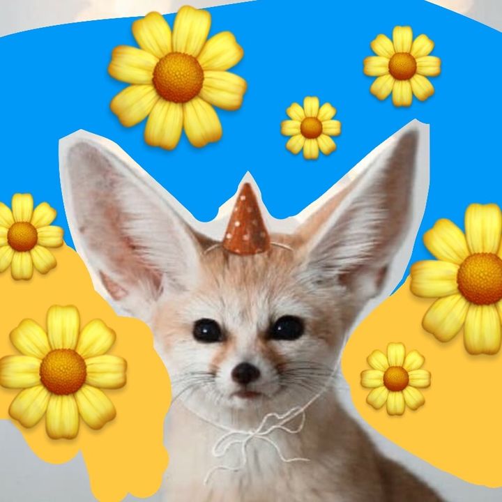Nora Liskin🦊