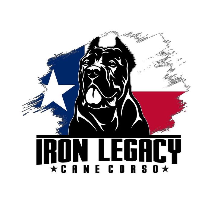 iron_legacy_cane_corso