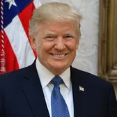 Trump Insights