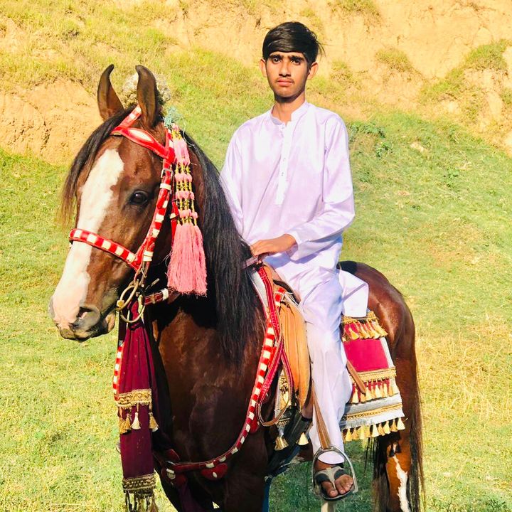 🇨🇦Kashmiri🇨🇦
