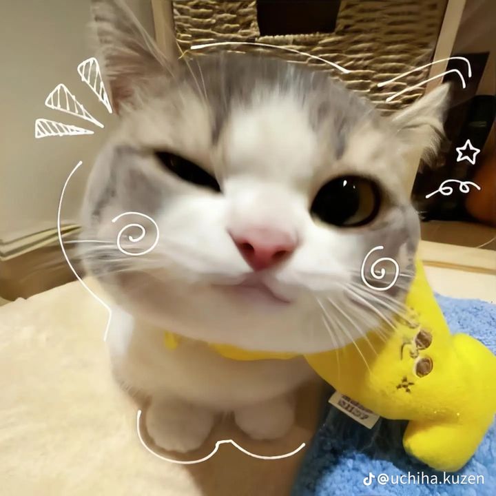 ✌😜️회색을 띤 황색✌️😜