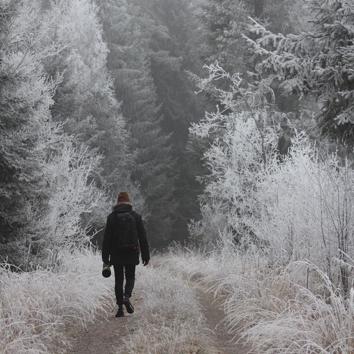 Alex_Scholz_Wildlife