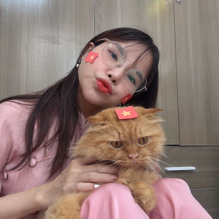 Dung nhà mèo