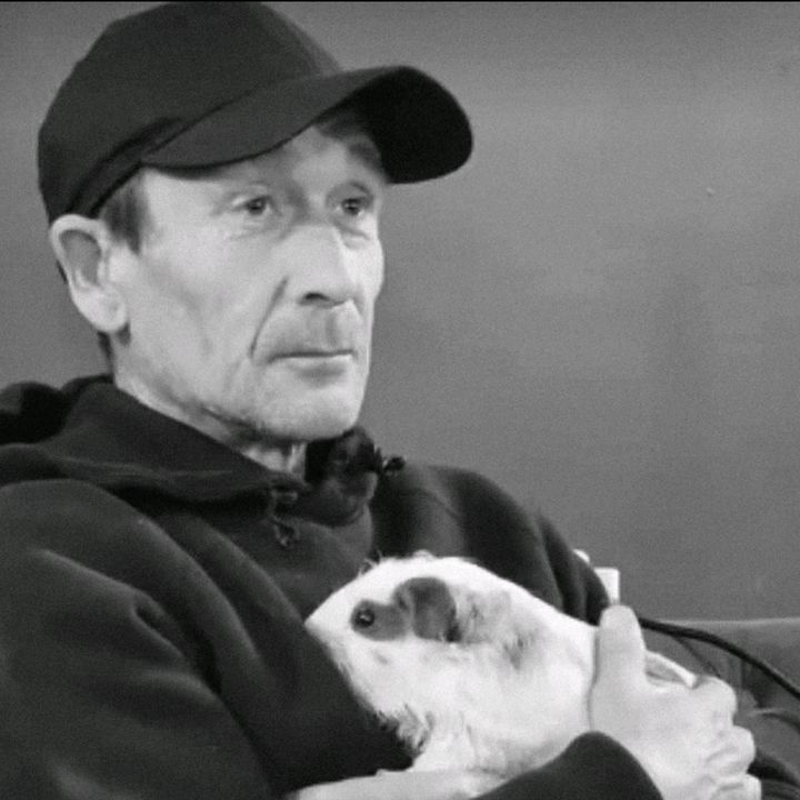 Piggybanksanctuary Daddy p