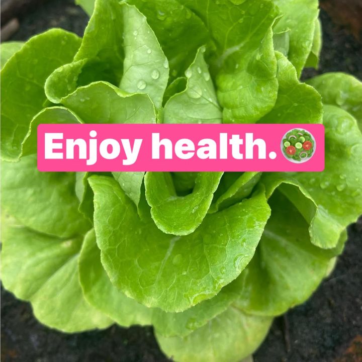 Healthy  beautiful home🏡