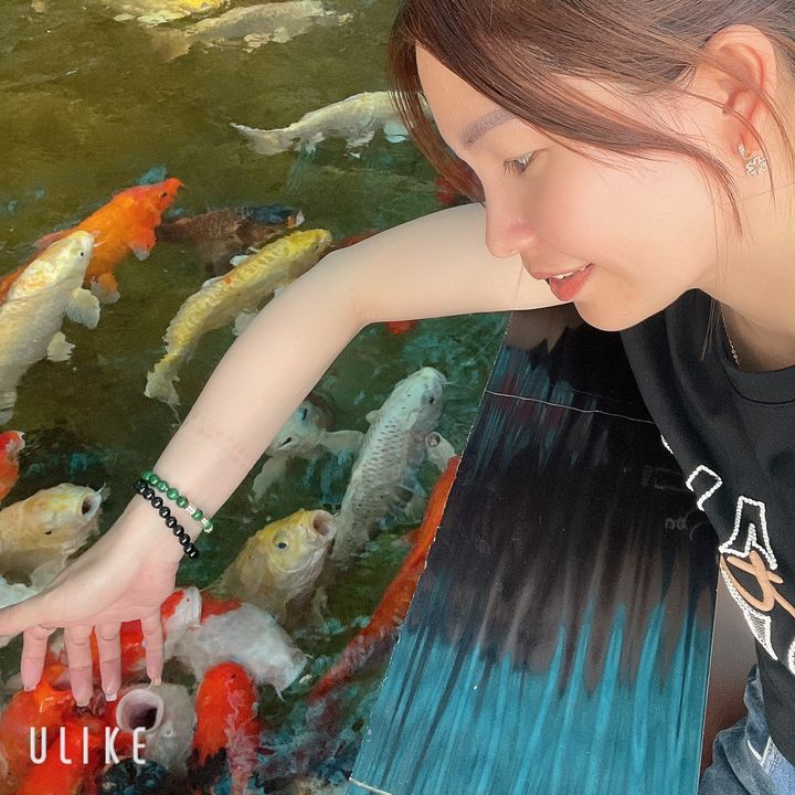 GIA DỤNG NHÀ CỬA