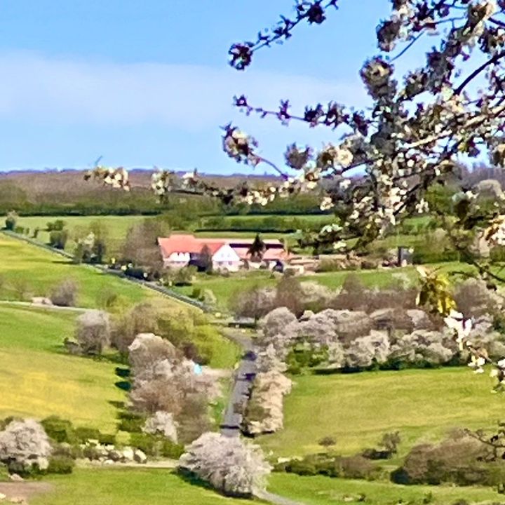 Burgbauernhof_Katzenstein