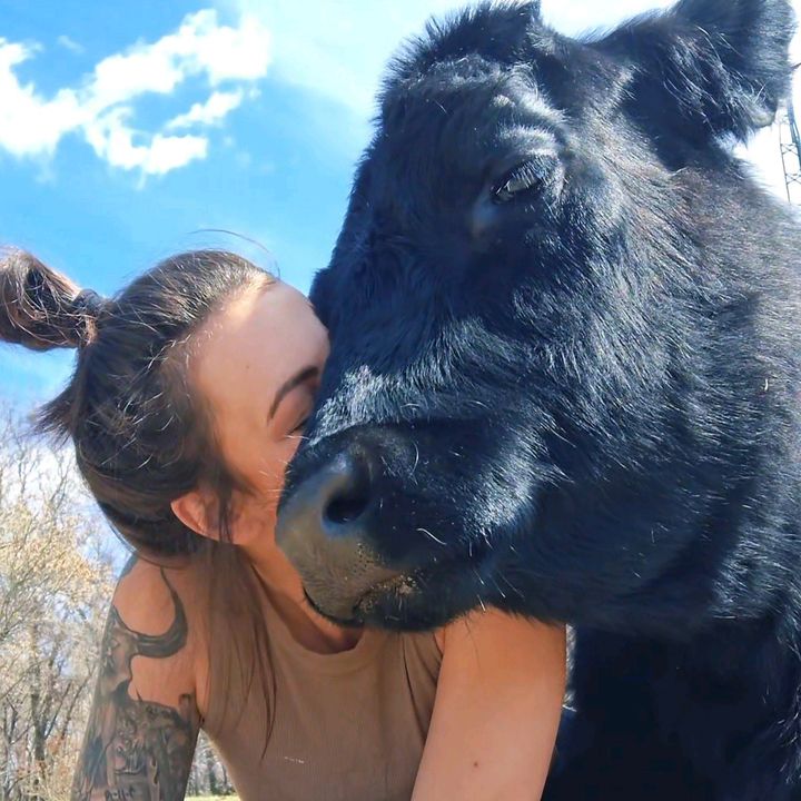 Dakotafunnyfarm