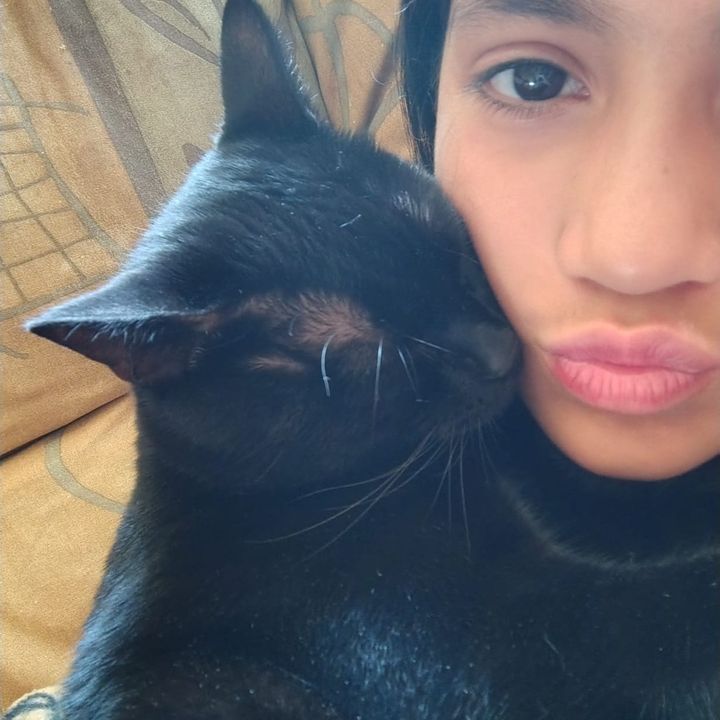 Bandi love