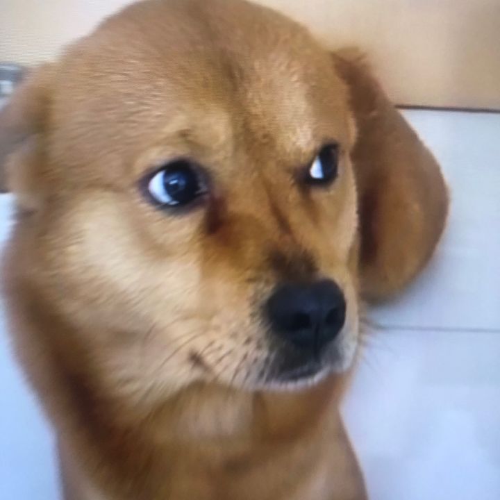 anhkvyni2sb