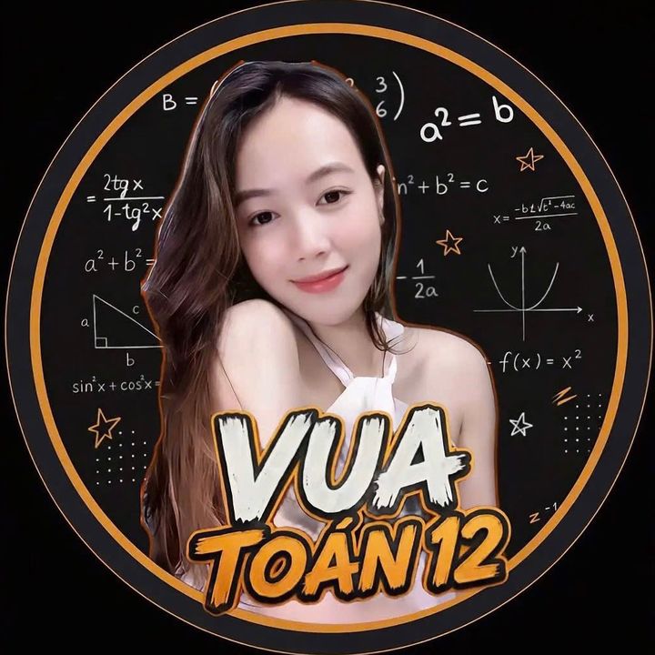 Love Toán Pro Max - VTN