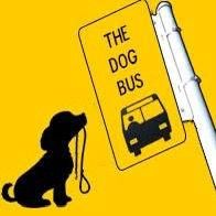 thedogbusgang