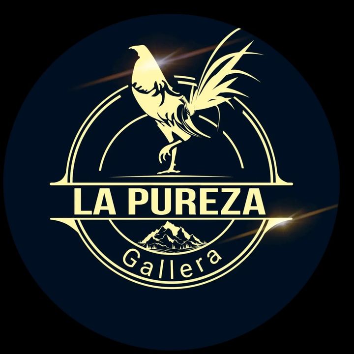 Gallera la pureza