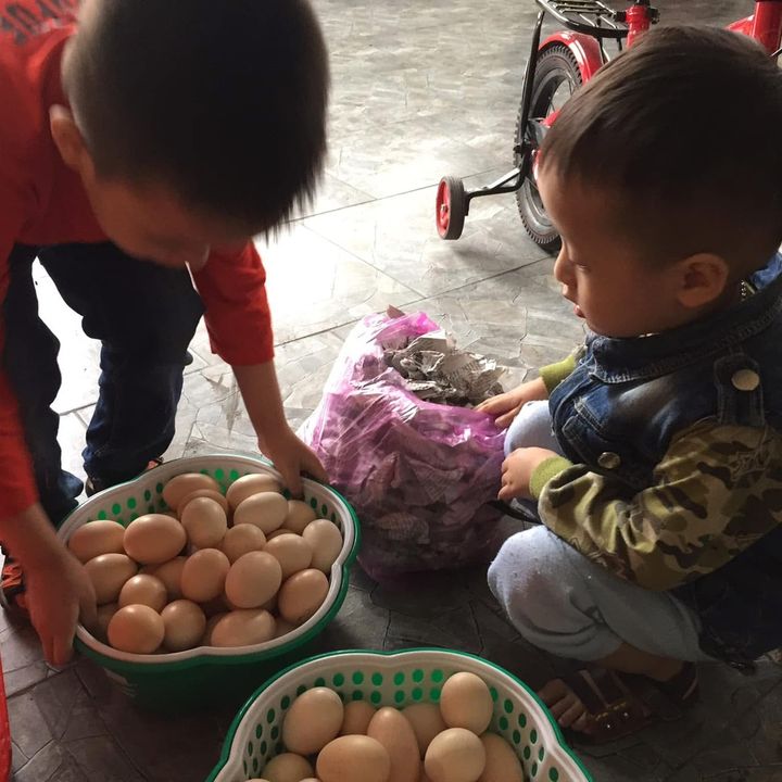 Bảo_Bảo_STORE