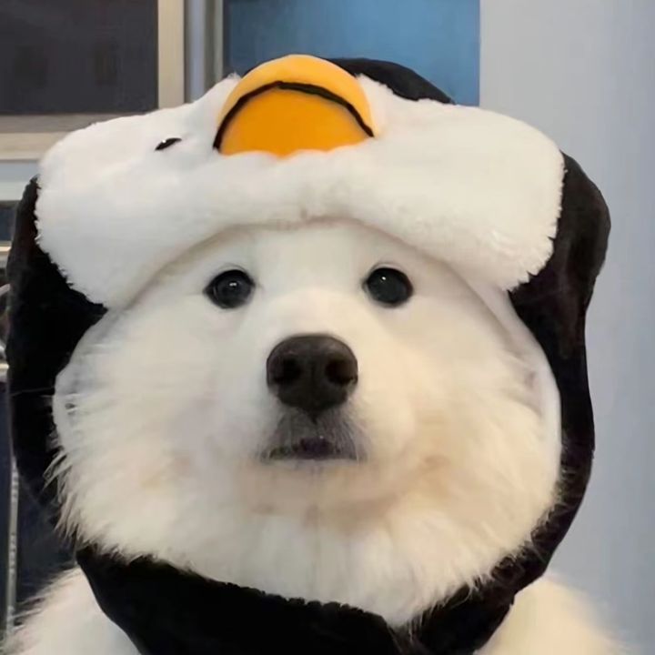 nxruxz740341