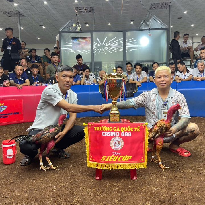 Tuyền mốc bn