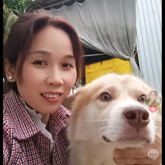 TIỆM NHÀ HỒ