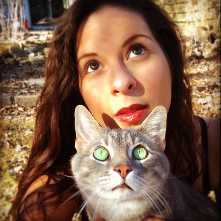 Cheech & Chong | The Cats