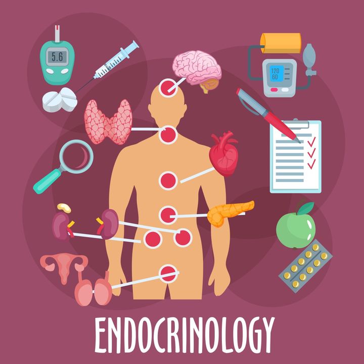 Doctor endocrinologist