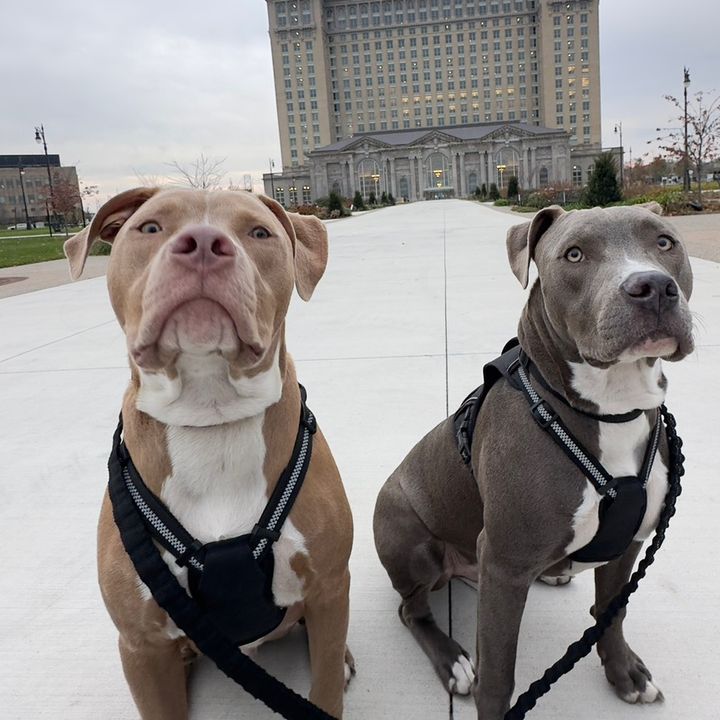 🐶Biscuit & Gravy🐶