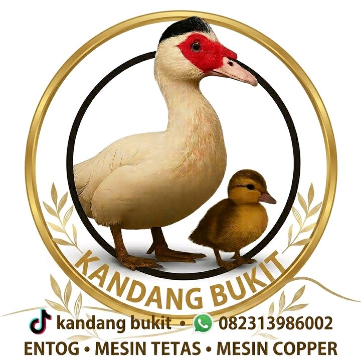 Kandang Bukit