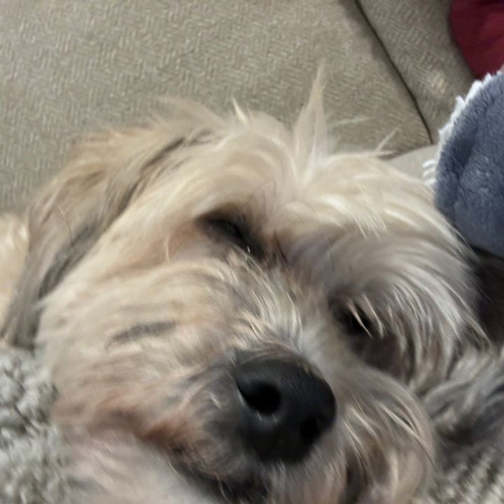 charlieatx