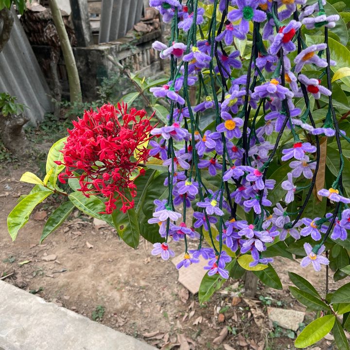 Đồ gia dụng đức thịnh