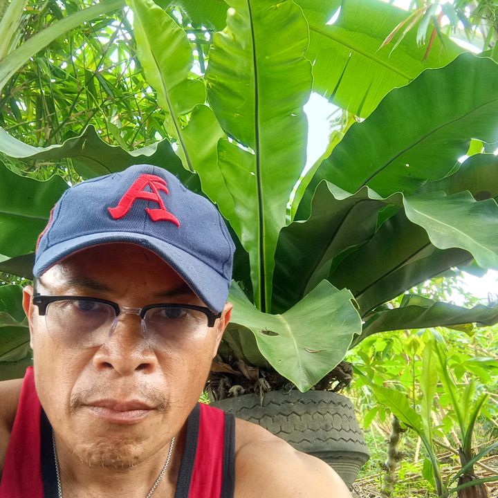 Benedicto Canoy