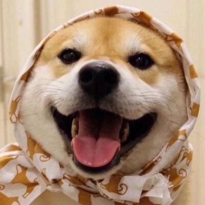 Juhgkl