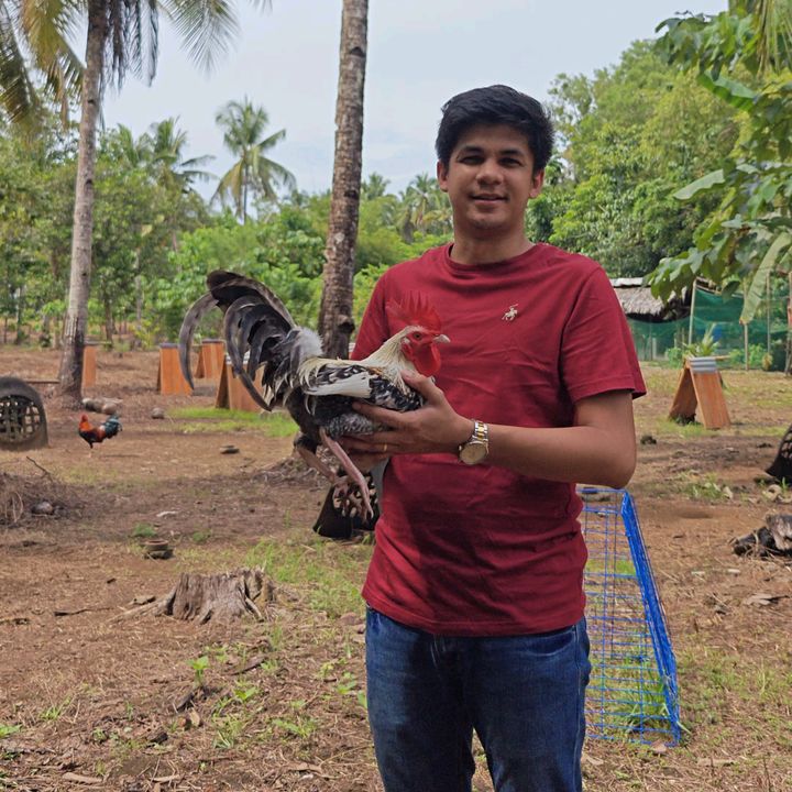 A+ Gamefarm 🐓