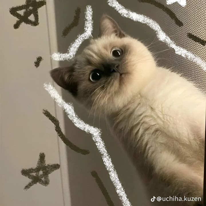 🌸