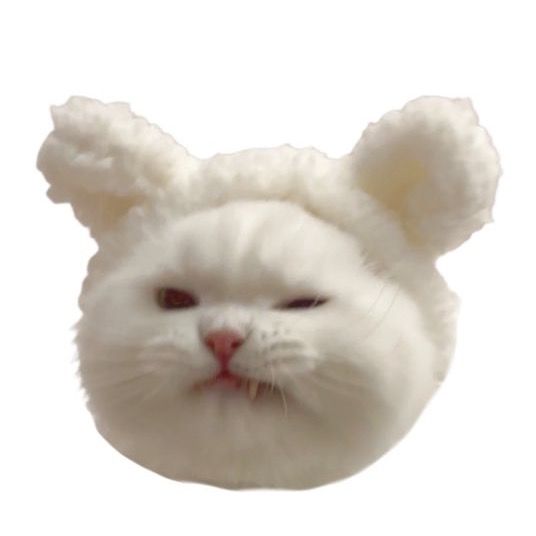 めあり 8/24🎂