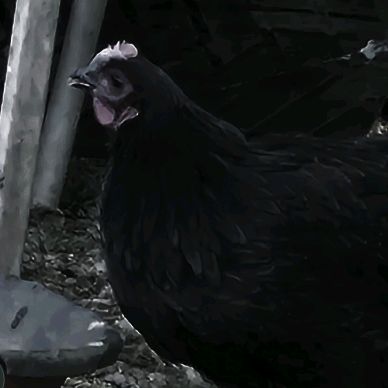Jıhm
