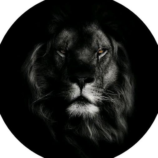 Ali