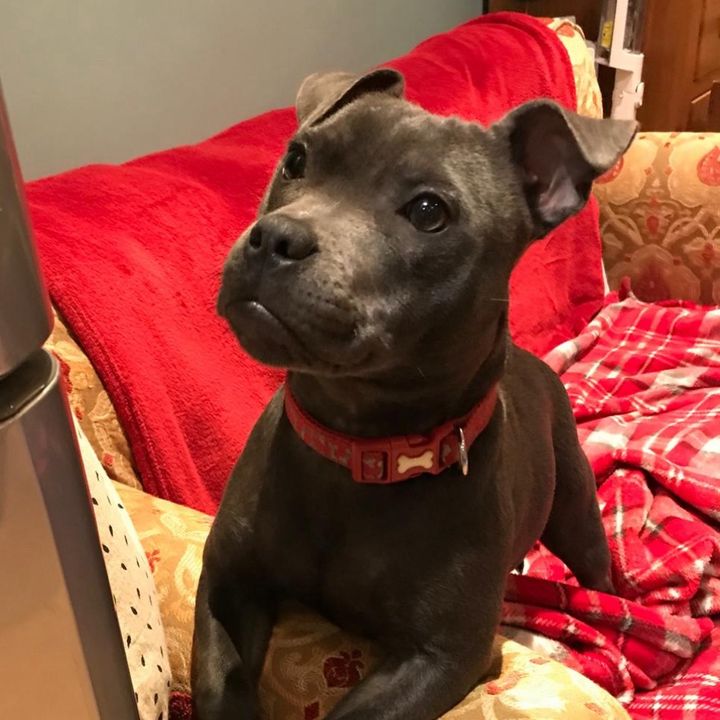 Reggie’s Daily Deals